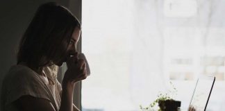 افزودن ویژگی پست های مرتبط در وردپرس پست های مرتبط