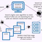 search-engines-work-infographic